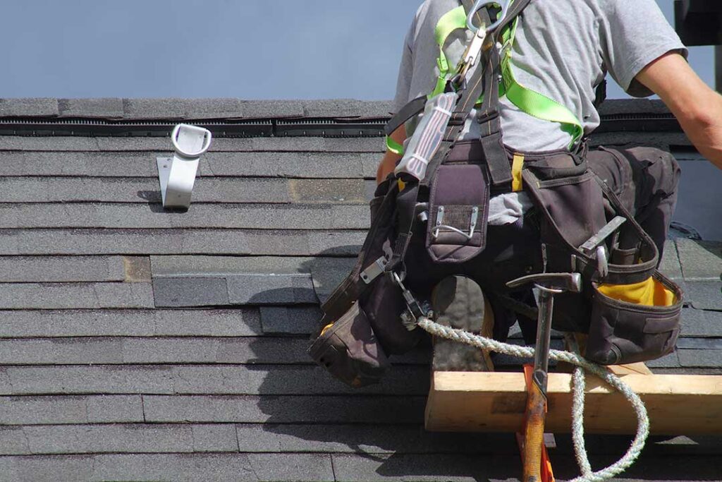 A squirrel sitting on a residential roof near a gutter with visible leaves and roof shingles.